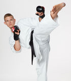 Seishin Fight Gloves