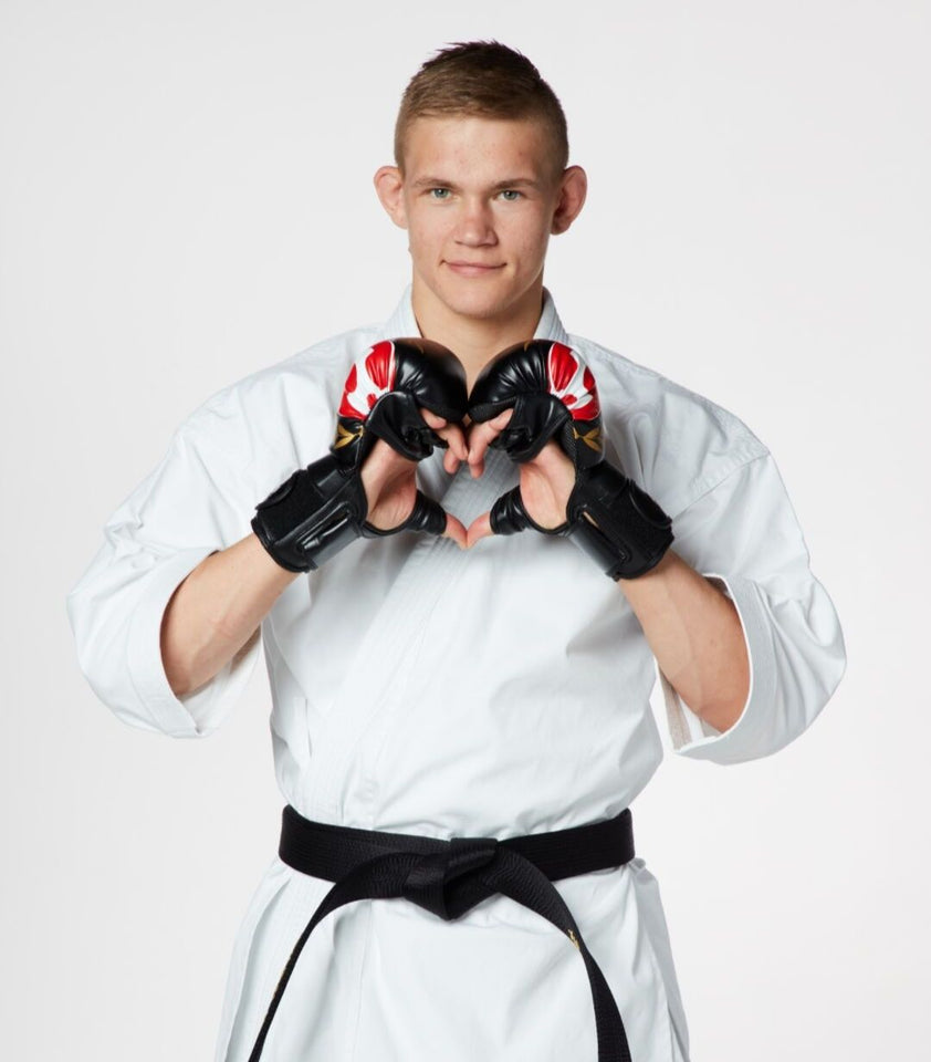 karate handschuhe Seishin Fight Gloves – Seishin International