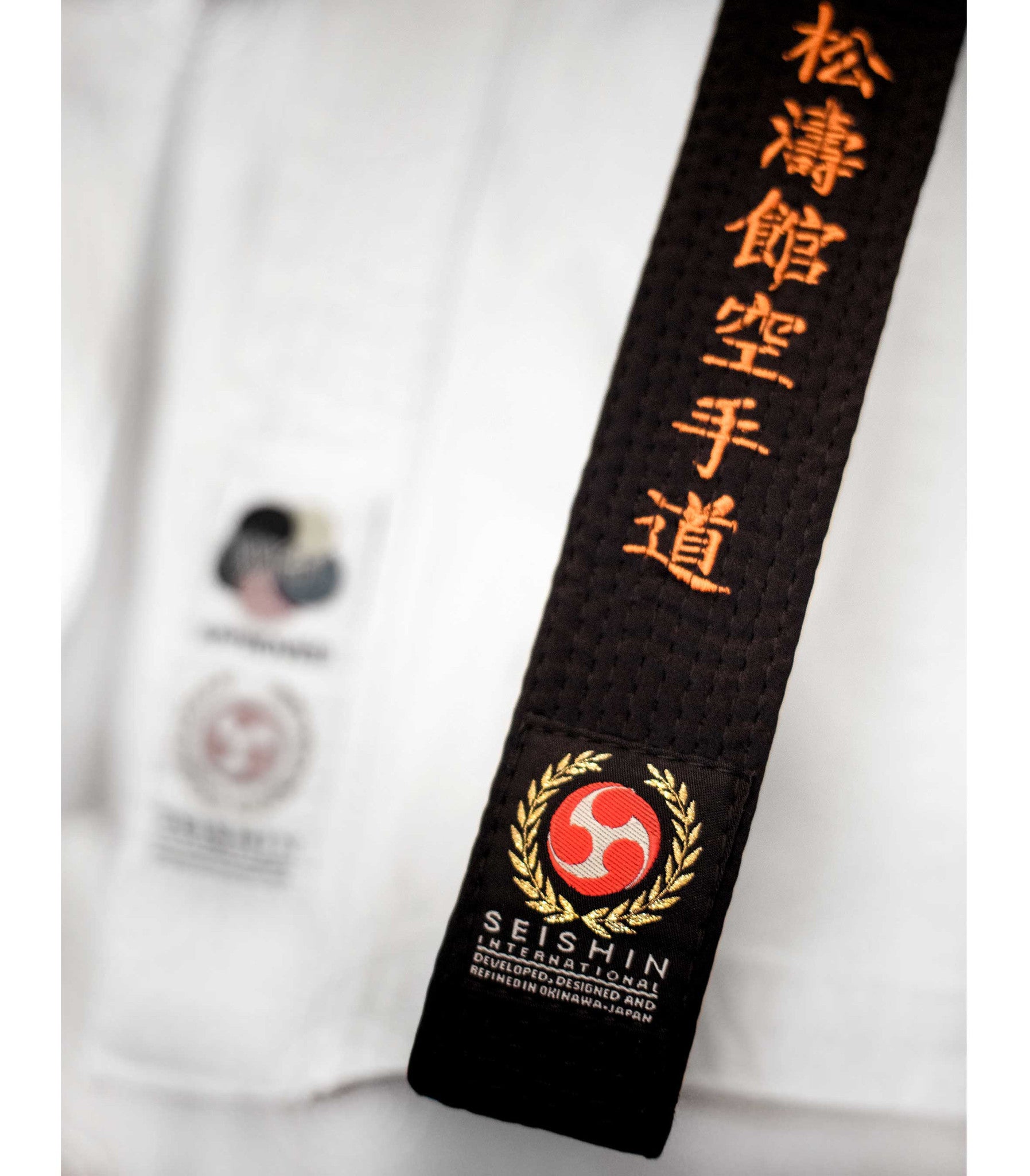 The Seishin Black Belt Seishin International