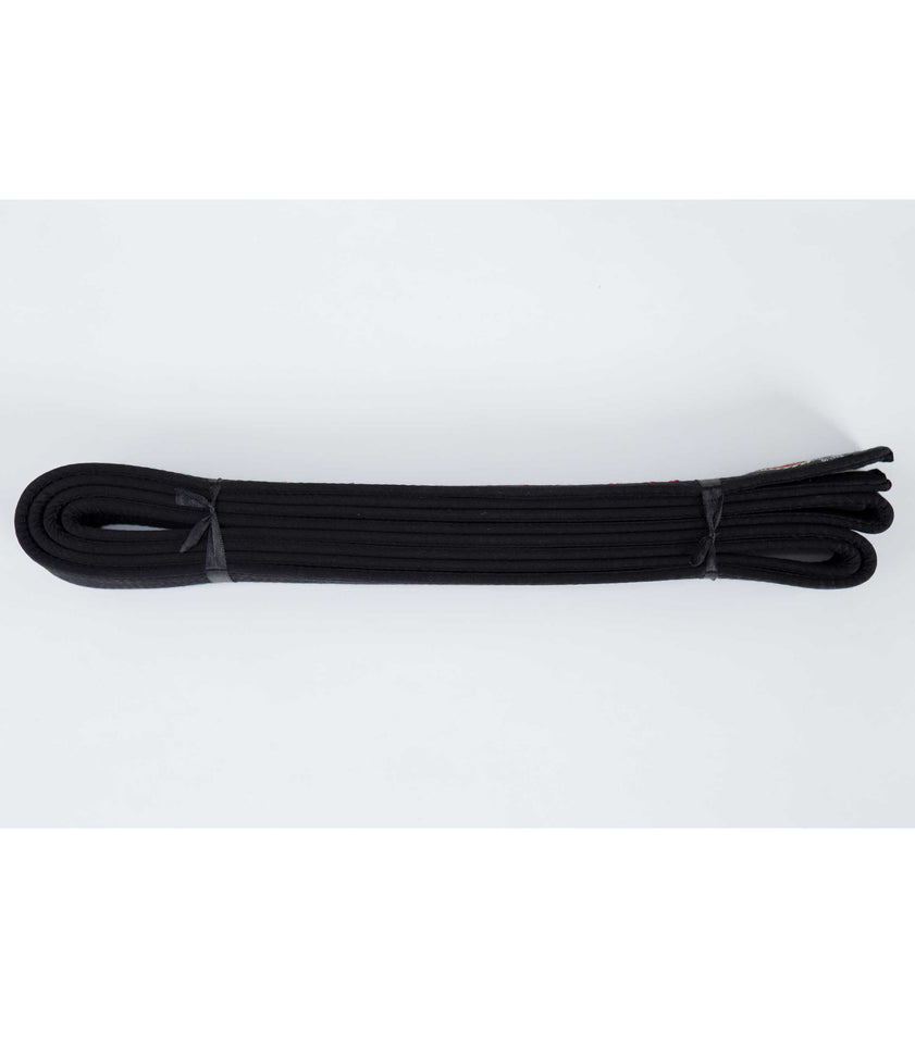 The Seishin Black Belt - Seishin International
 - 5